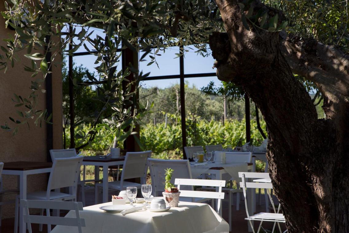 La Cipriana Villa Castagneto Carducci Eksteriør billede