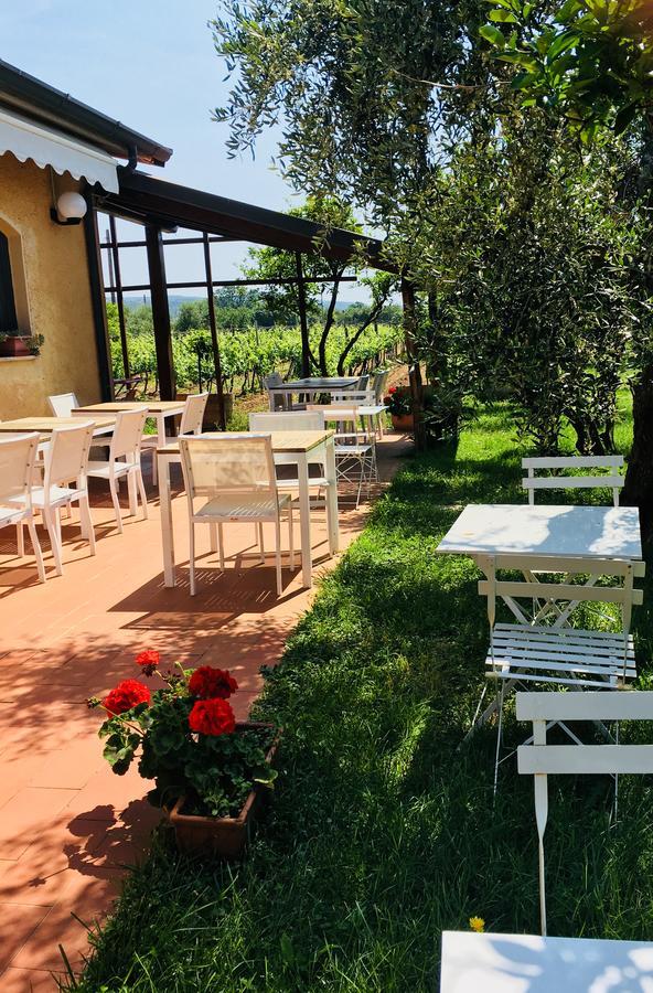 La Cipriana Villa Castagneto Carducci Eksteriør billede