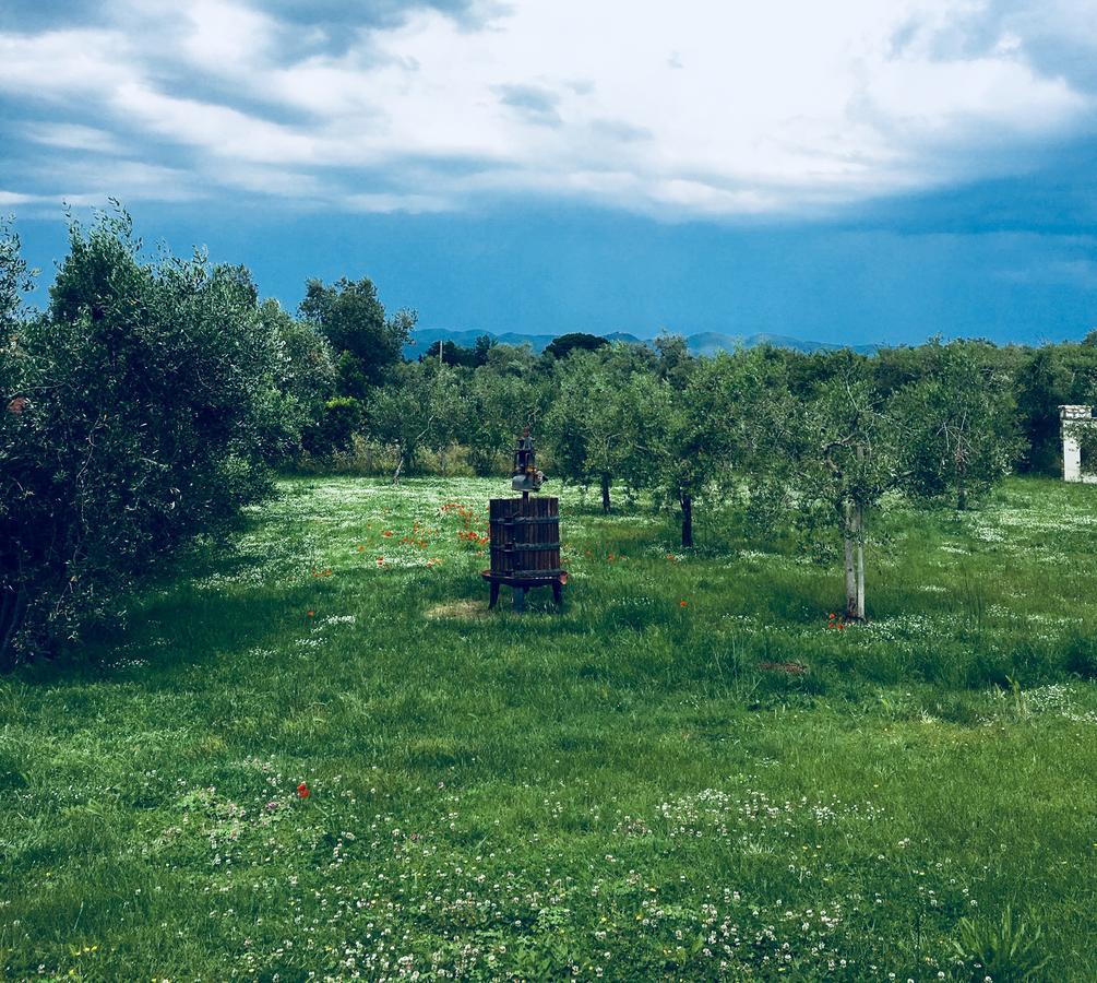 La Cipriana Villa Castagneto Carducci Eksteriør billede