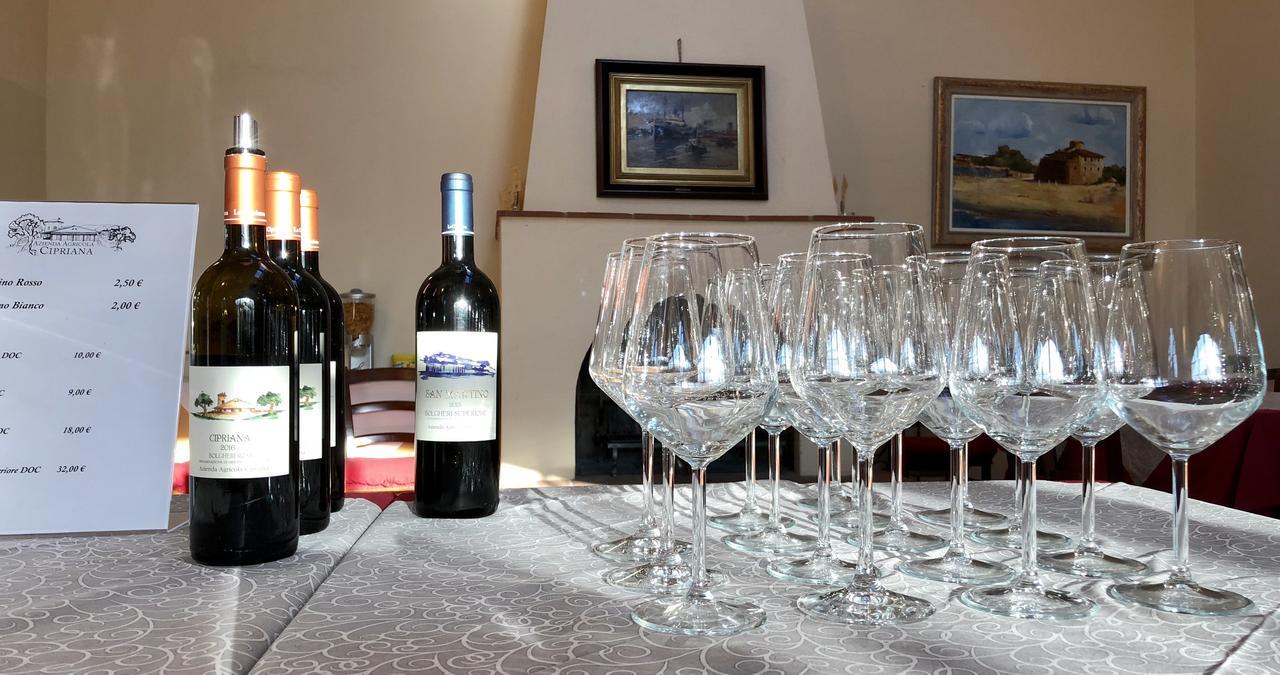 La Cipriana Villa Castagneto Carducci Eksteriør billede